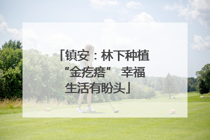 镇安：林下种植“金疙瘩” 幸福生活有盼头